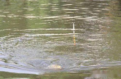 钓叟挥竿定乾坤，水纹三折探鱼期